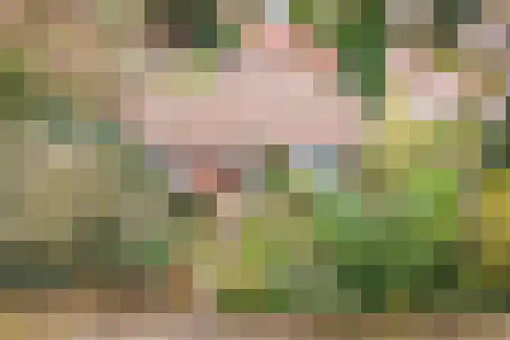 De Laegte 27 Terborg thumbnail 5
