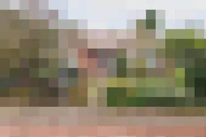 De Laegte 27 Terborg thumbnail 6