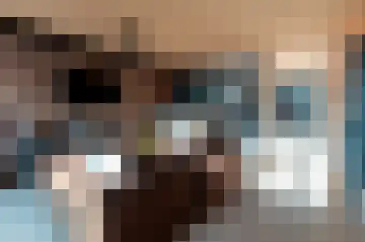 De Landauer 68 Biddinghuizen thumbnail 13