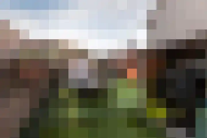 De Landauer 68 Biddinghuizen thumbnail 39