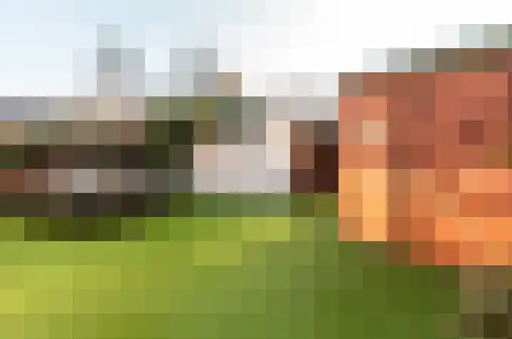 De Landauer 68 Biddinghuizen thumbnail 40