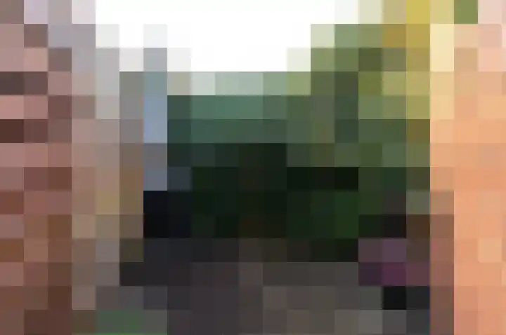De Landauer 68 Biddinghuizen thumbnail 42