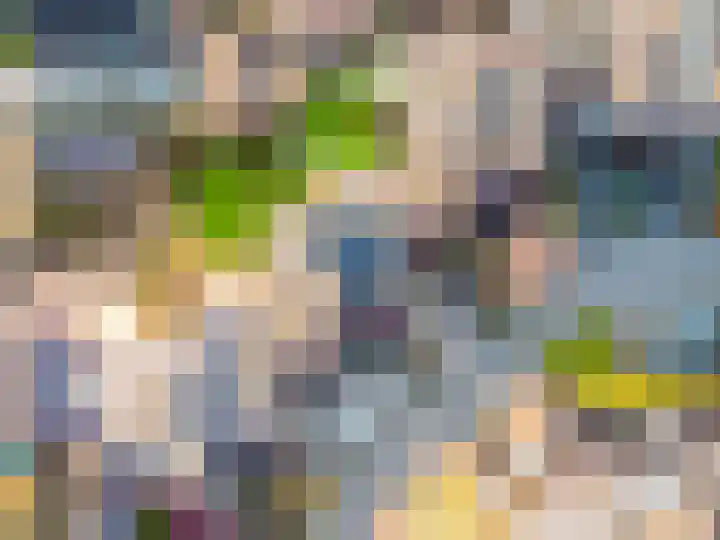 De Landauer 68 Biddinghuizen thumbnail 49