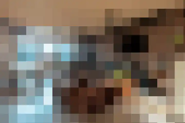 De Landauer 68 Biddinghuizen thumbnail 6