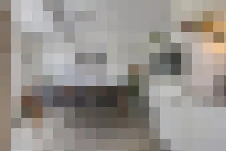 De Landerije 1 a Steenbergen thumbnail 10