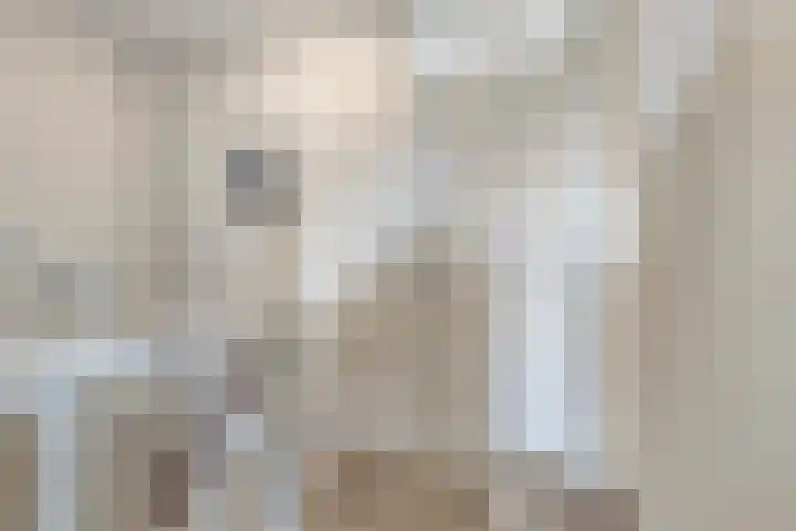 De Landerije 1 a Steenbergen thumbnail 15