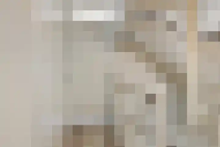 De Landerije 1 a Steenbergen thumbnail 16