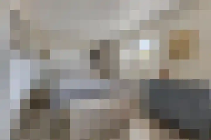 De Landerije 1 a Steenbergen thumbnail 17