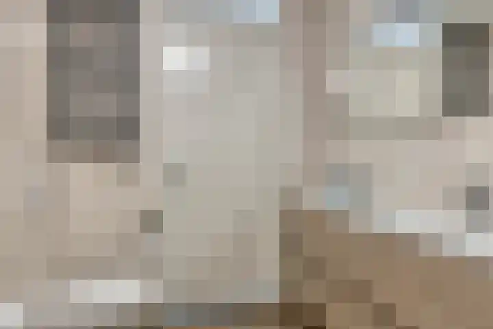 De Landerije 1 a Steenbergen thumbnail 23