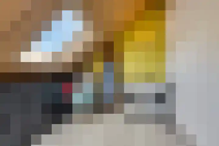 De Landerije 1 a Steenbergen thumbnail 26