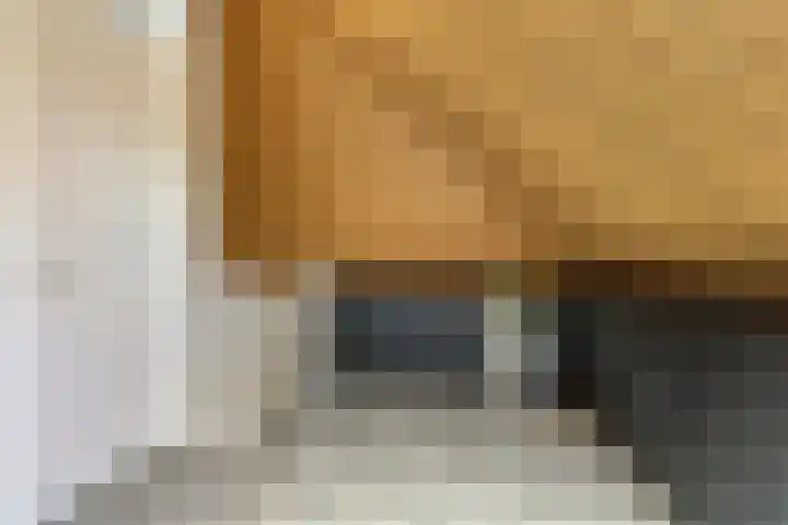 De Landerije 1 a Steenbergen thumbnail 27