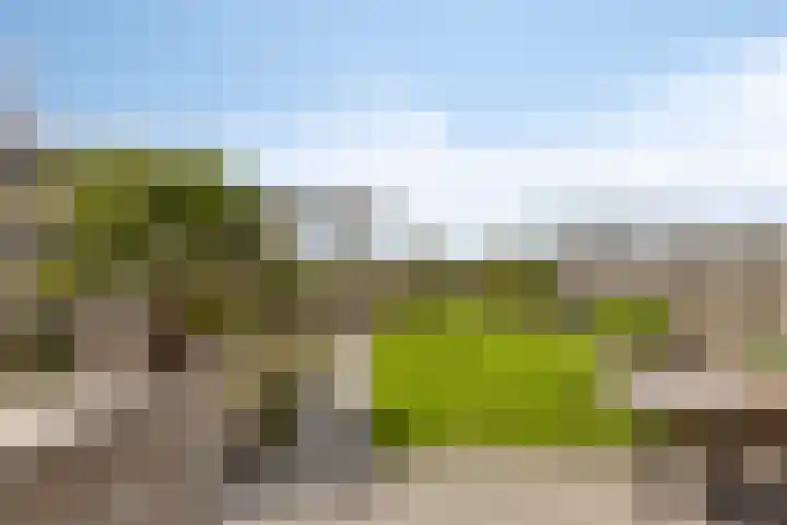 De Landerije 1 a Steenbergen thumbnail 29