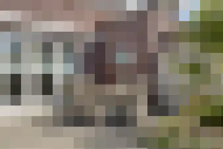 De Landerije 1 a Steenbergen thumbnail 30