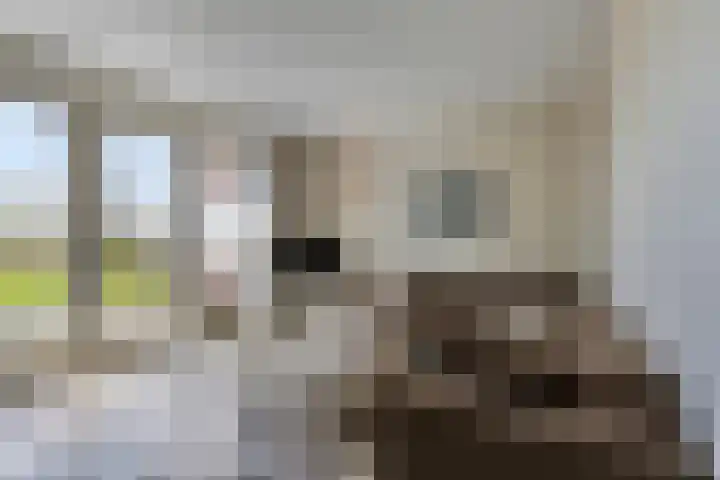 De Landerije 1 a Steenbergen thumbnail 4