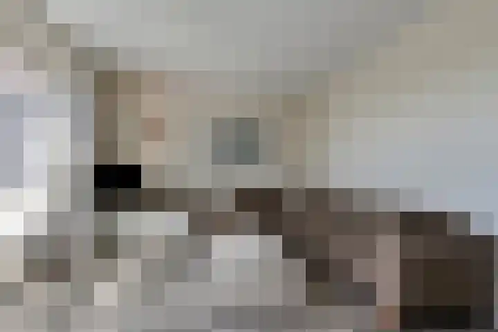 De Landerije 1 a Steenbergen thumbnail 7