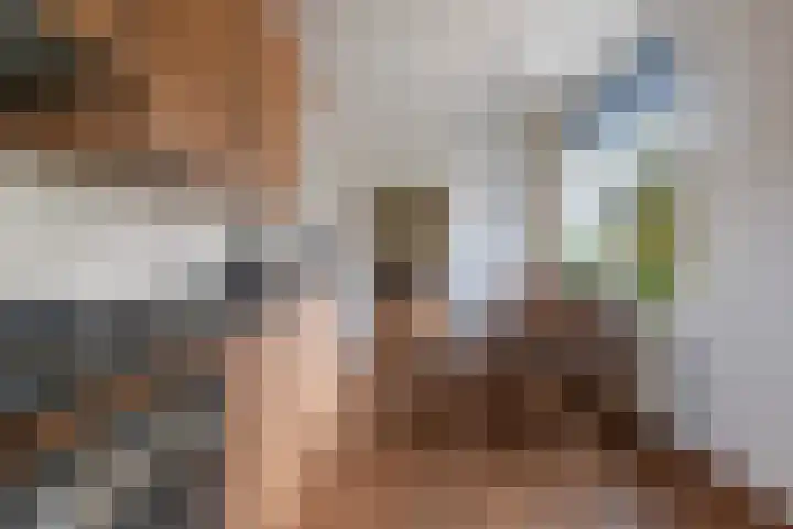 De Lange Schoor 5 Buitenpost thumbnail 18