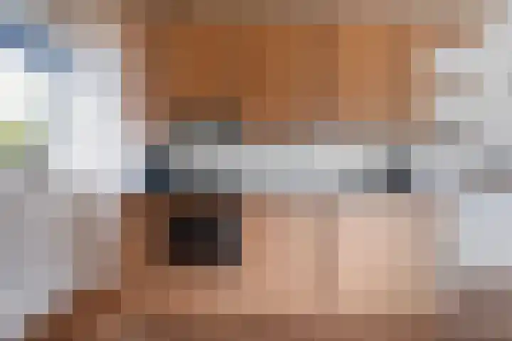 De Lange Schoor 5 Buitenpost thumbnail 19