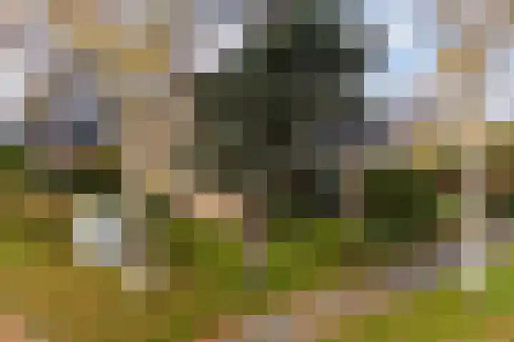 De Lange Schoor 5 Buitenpost foto 2