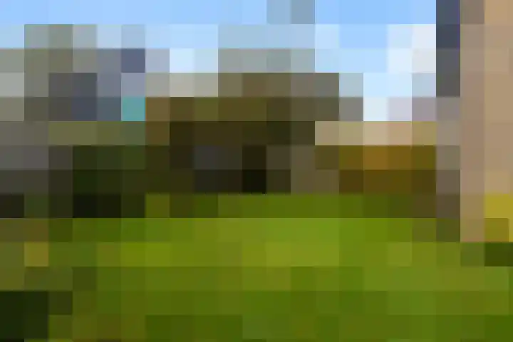 De Lange Schoor 5 Buitenpost thumbnail 24