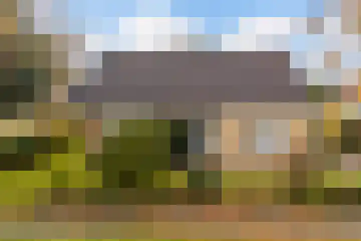 De Lange Schoor 5 Buitenpost foto 3
