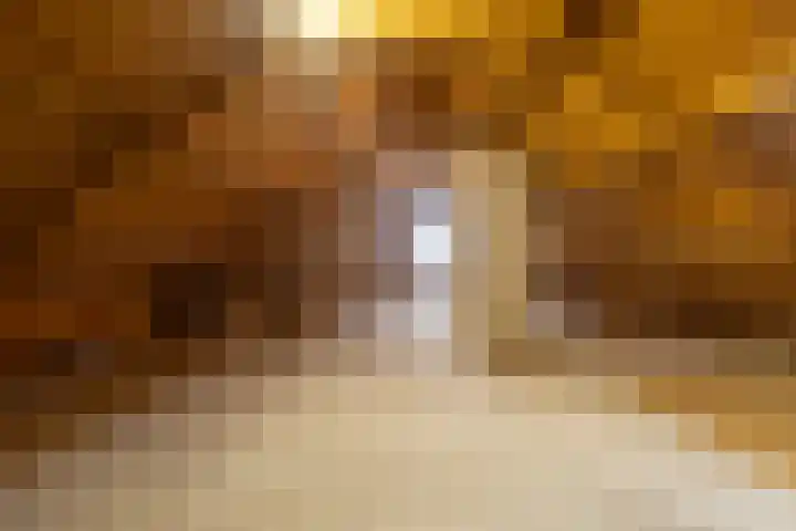 De Lange Schoor 5 Buitenpost thumbnail 36