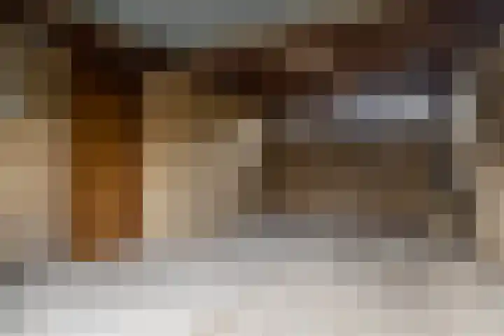 De Lange Schoor 5 Buitenpost thumbnail 38