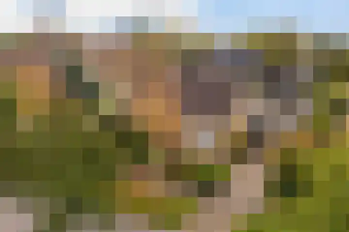 De Lange Schoor 5 Buitenpost thumbnail 39