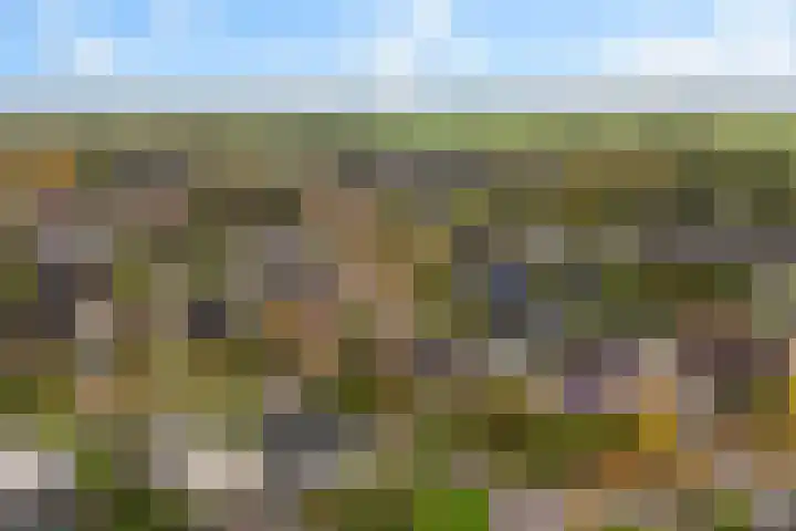 De Lange Schoor 5 Buitenpost thumbnail 41