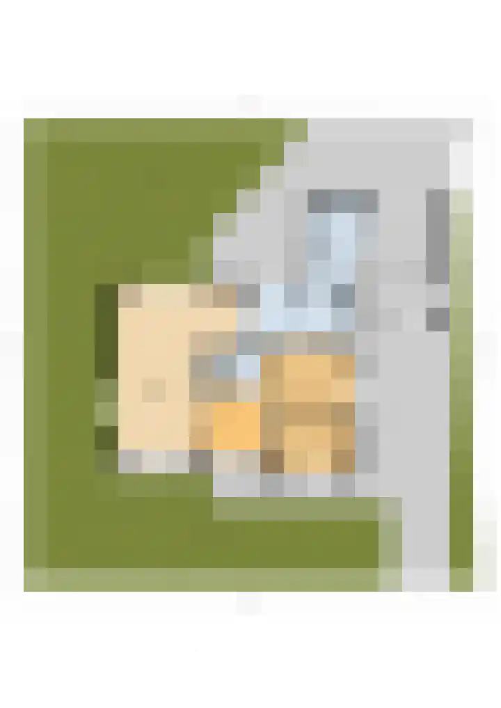 De Lange Schoor 5 Buitenpost thumbnail 47