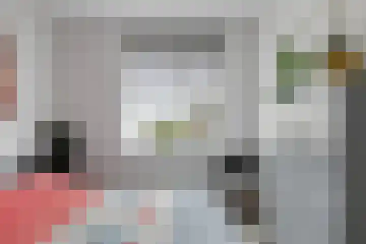 De Lansing 23 Benschop thumbnail 20