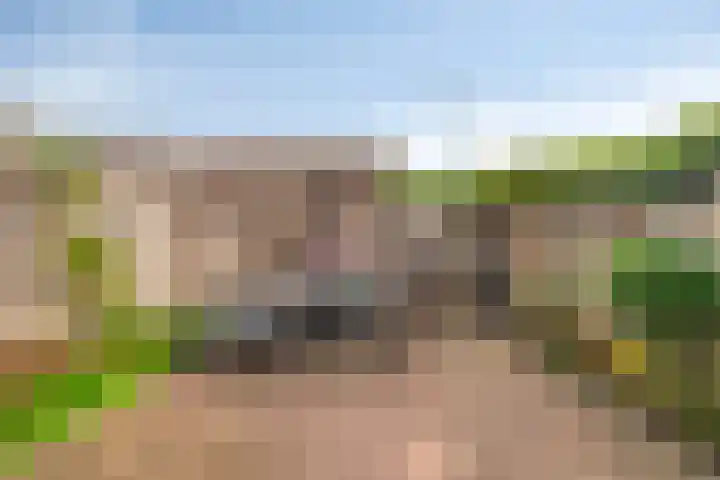 De Lansing 23 Benschop thumbnail 26