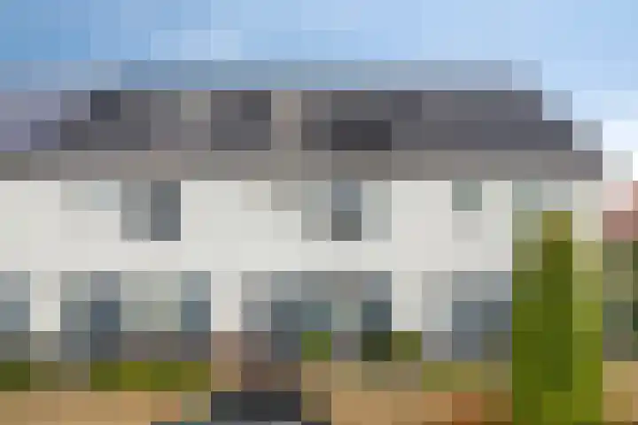 De Lansing 23 Benschop thumbnail 27
