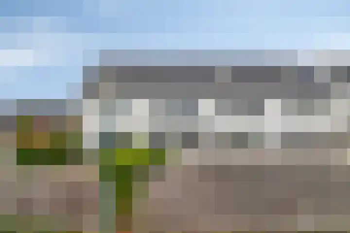 De Lansing 23 Benschop thumbnail 28