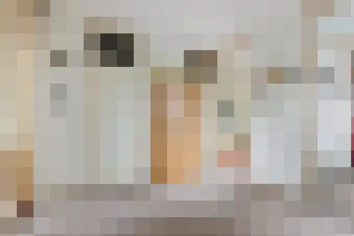 De Lariks 12 Duiven thumbnail 10