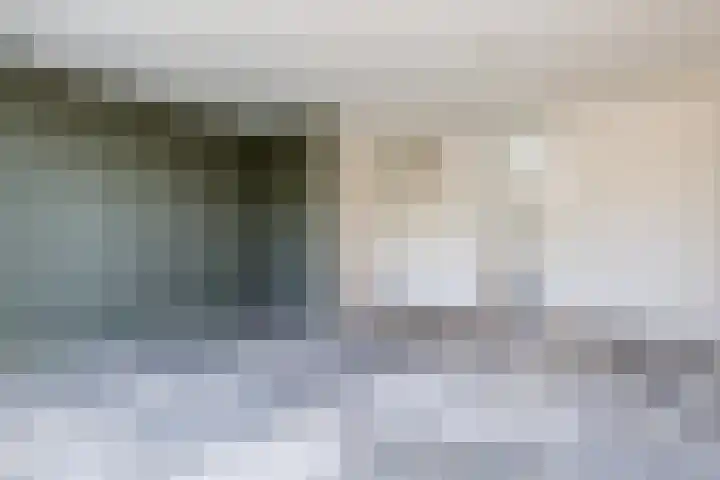 De Lariks 12 Duiven thumbnail 11