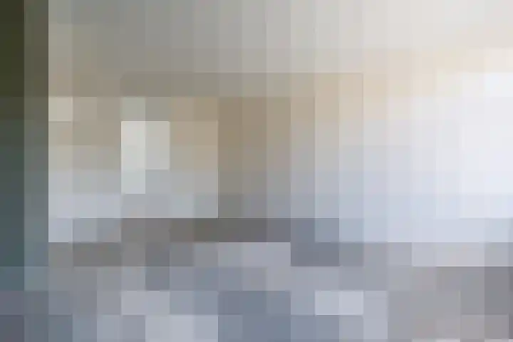 De Lariks 12 Duiven thumbnail 12