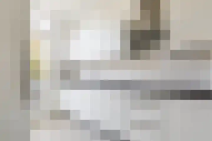 De Lariks 12 Duiven thumbnail 13
