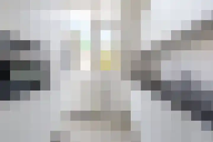 De Lariks 12 Duiven thumbnail 14