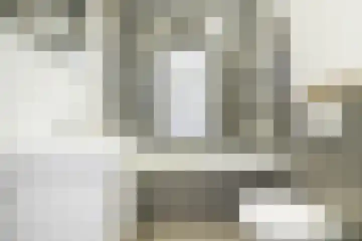 De Lariks 12 Duiven thumbnail 16