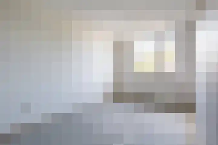 De Lariks 12 Duiven thumbnail 18