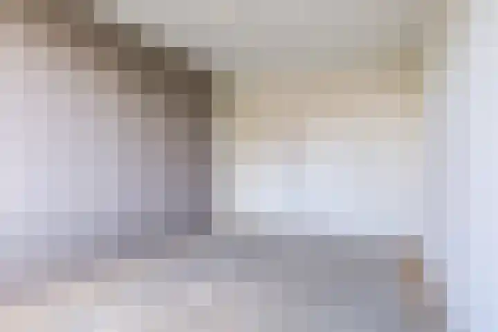 De Lariks 12 Duiven thumbnail 19