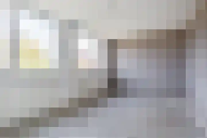 De Lariks 12 Duiven thumbnail 20