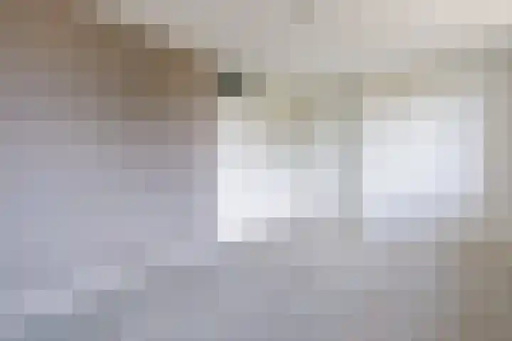 De Lariks 12 Duiven thumbnail 21