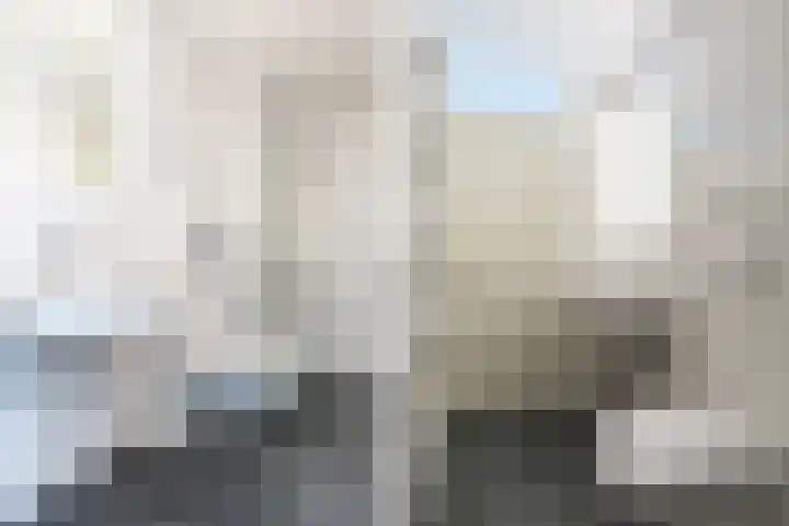 De Lariks 12 Duiven thumbnail 23