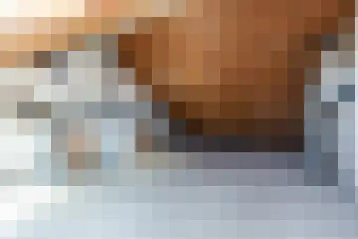 De Lariks 12 Duiven thumbnail 24