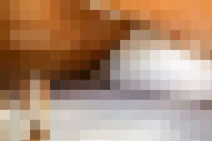 De Lariks 12 Duiven thumbnail 26