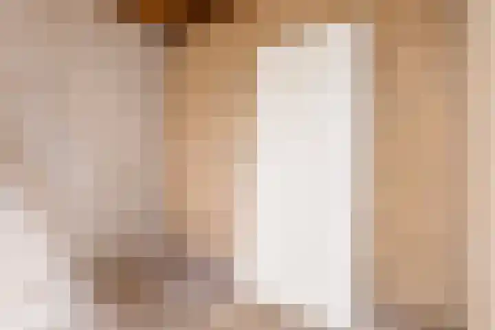 De Lariks 12 Duiven thumbnail 27