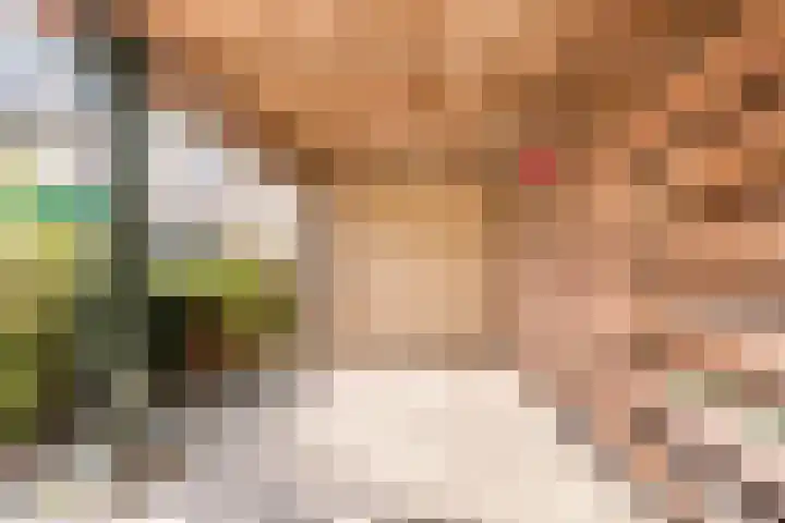 De Lariks 12 Duiven thumbnail 28