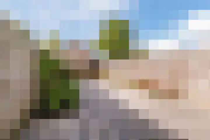 De Lariks 12 Duiven thumbnail 29