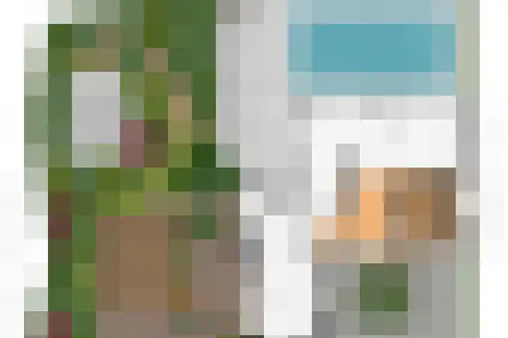 De Lariks 12 Duiven thumbnail 30